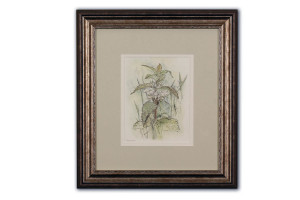 White Deadnettle - Framed Original Art