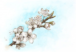 Hawthorne Blossom - Framed Original Art - Image 2
