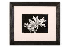 Oxeye Daisy - Framed Original Art