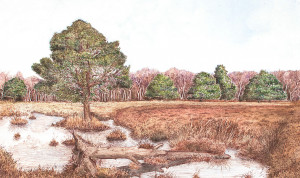 Skipwith Common - Framed Original Art (SOLD) - Image 2