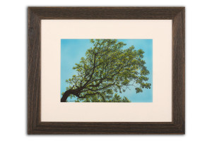 Spring Ash - Framed Original Art