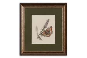 Small Tortoiseshell - Framed Original Art