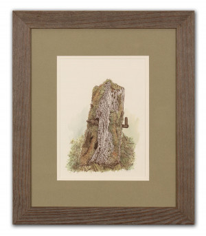 Stoic - Framed Original Art