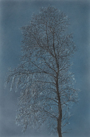 Moonrise - Framed Original Art - Image 2