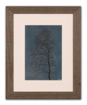 Moonrise - Framed Original Art