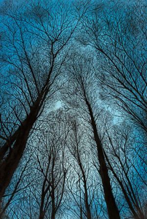Eclipse Morning - Framed Original Art (SOLD) - Image 2
