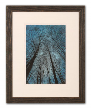 Eclipse Morning - Framed Original Art (SOLD)