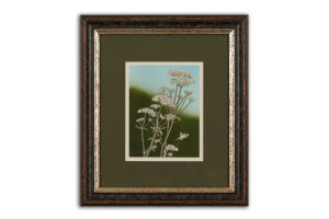 Cow Parsley III - Framed Original Art