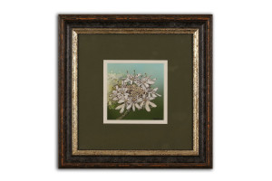 Cow Parsley IV - Framed Original Art