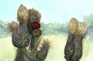 Creeping Thistle - Framed Original Art - Image 2