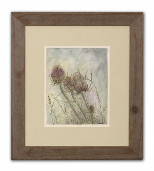 Teasel Sketch - Framed Original Art (SOLD)
