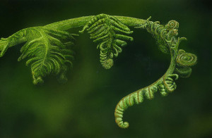 Unfurling - Framed Original Art (SOLD) - Image 2
