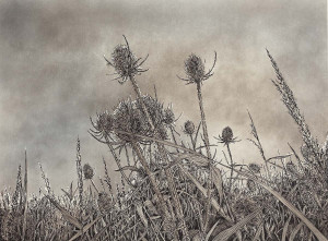 Summer Storm - Framed Original Art - Image 2