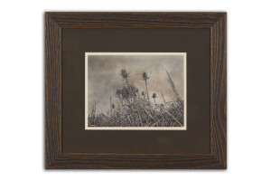 Summer Storm - Framed Original Art