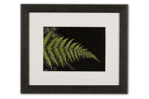 Bracken - Framed Original Art
