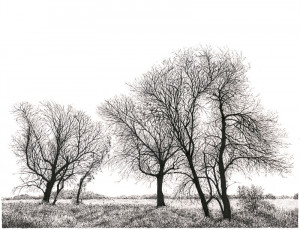 Towards Nine Acre Plantation - Framed Original Art - Image 2
