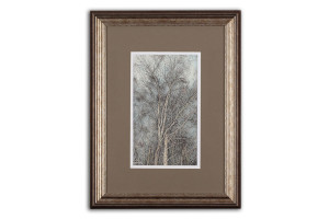 Silver Birch - Framed Original Art