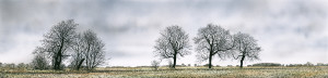 Flatland - Framed Original Art (SOLD) - Image 2