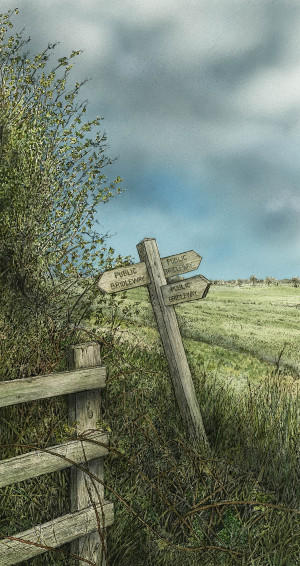 Bridleway - Framed Original Art - Image 2