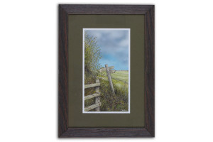 Bridleway - Framed Original Art