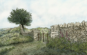 Lakeland Gate - Framed Original Art - Image 2