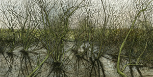 Wetland - Framed Original Art - Image 2