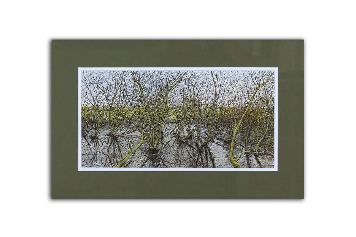 Wetland - Limited Edition Giclée Print