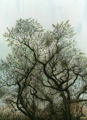 The Greening - Framed Original Art - Image 2