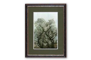 The Greening - Framed Original Art